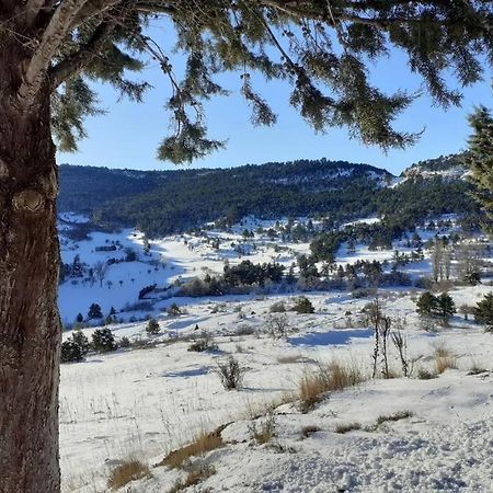 Apartamento Solano - Virgen De La Vega - Alcala Ideal Montana Y Relax Teruel Luaran gambar